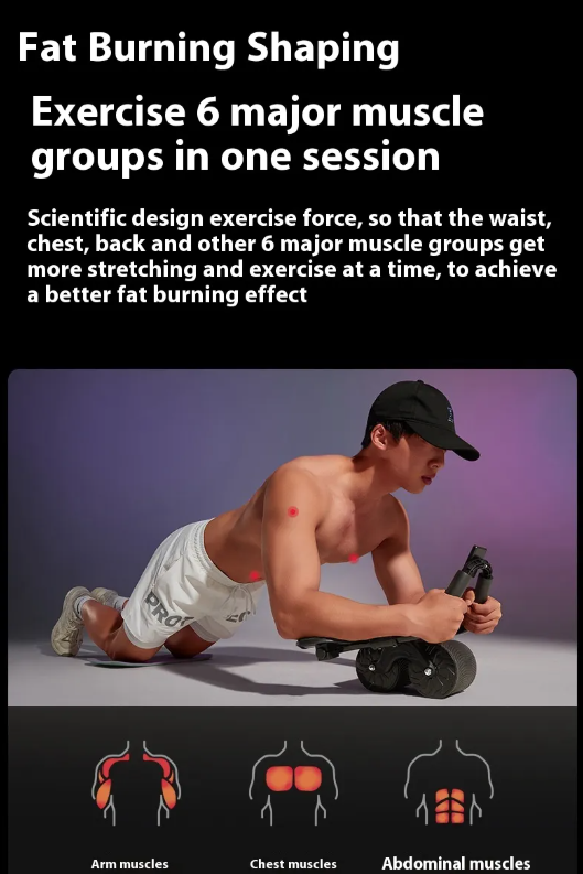Ab Wheel Roller for Core Strength Training