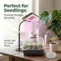 Floor-Standing LED Grow Light for Indoor Plants