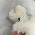Pearl Elegance Cat Collar Necklace