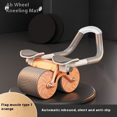 Ab Wheel Roller for Core Strength Training