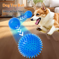 Interactive Pet Ball Toy for Dogs