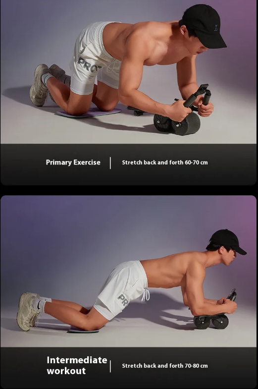 Ab Wheel Roller for Core Strength Training