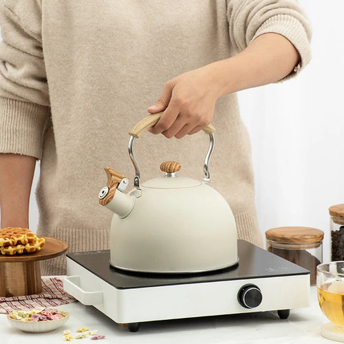2.5L Stainless Steel Whistling Tea Kettle