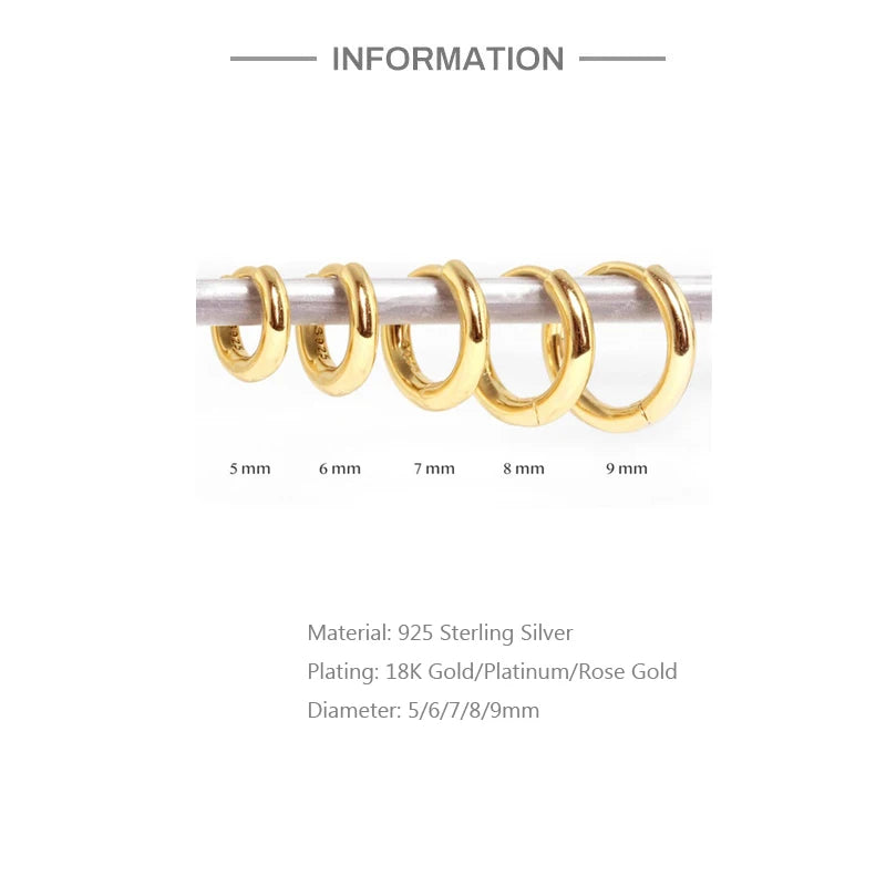 Rose Gold Small Hoop Earrings – 925 Sterling Silver