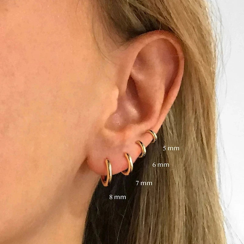 Rose Gold Small Hoop Earrings – 925 Sterling Silver