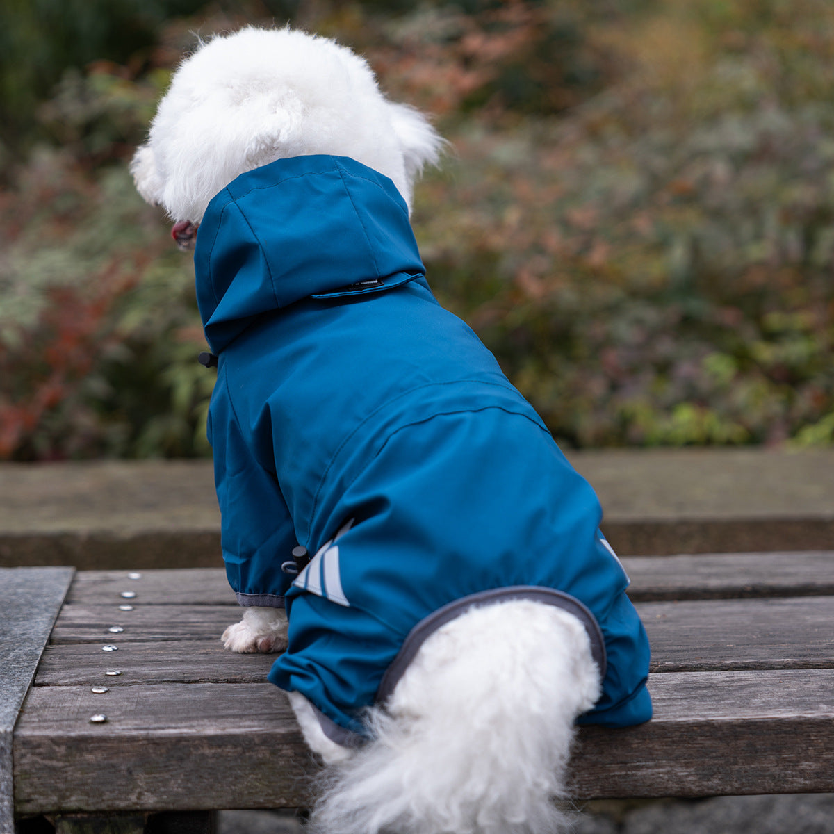 Pet Raincoat Waterproof Poncho